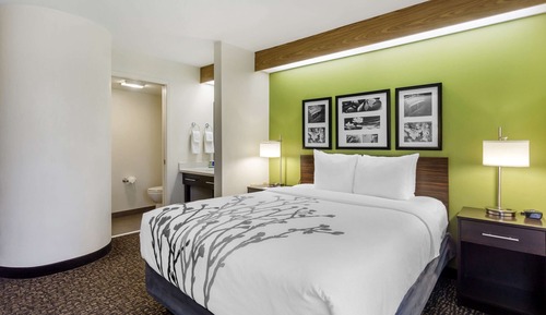 Habitación estándar, 1 cama de matrimonio, no fumadores