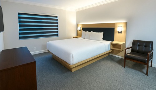 Habitación Premier