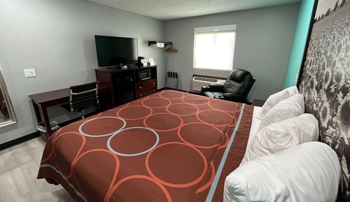 Habitación, 1 cama de matrimonio grande, no fumadores (Pet-Friendly)