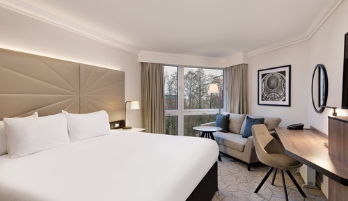 Habitación ejecutiva, 1 cama de matrimonio grande