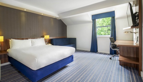Habitación estándar, 1 cama doble con sofá cama
