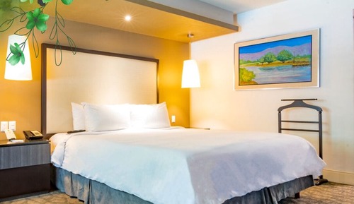 Habitación Deluxe, 1 cama de matrimonio grande