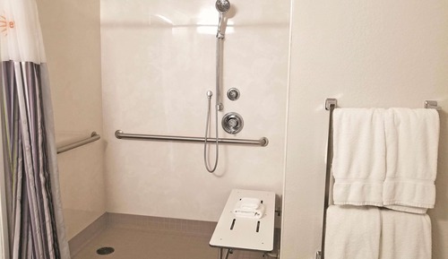 Suite Deluxe, 1 cama de matrimonio, no fumadores (Mobility,Hearing,Roll-In Shower)