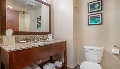 Suite, 1 cama de matrimonio grande con sofá cama, no fumadores (Pet Friendly)