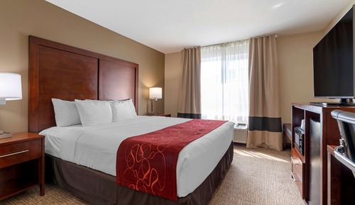 Suite estudio ejecutiva, 1 cama de matrimonio grande con sofá cama
