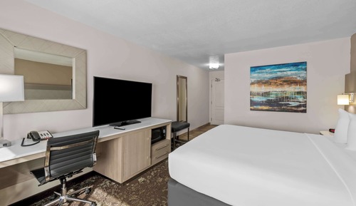 Habitación estándar, 1 cama de matrimonio grande, no fumadores, frigorífico y microondas