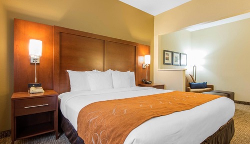 Suite, 1 cama de matrimonio grande con sofá cama