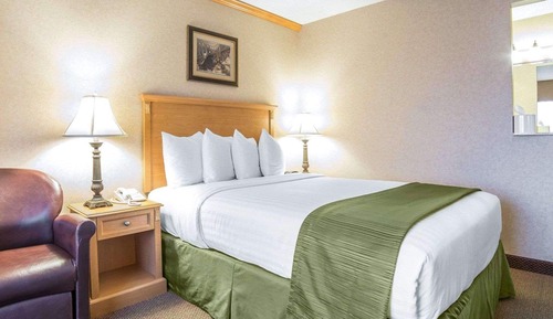 Habitación estándar, 1 cama de matrimonio, no fumadores