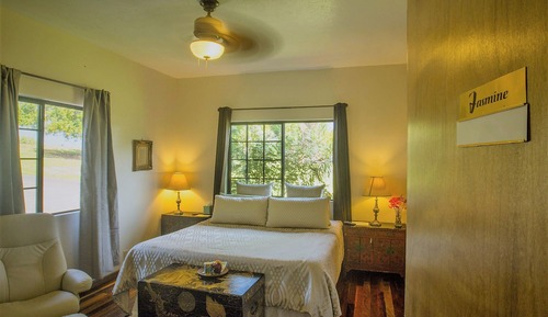 Habitación estándar, 1 cama de matrimonio grande, vistas al jardín
