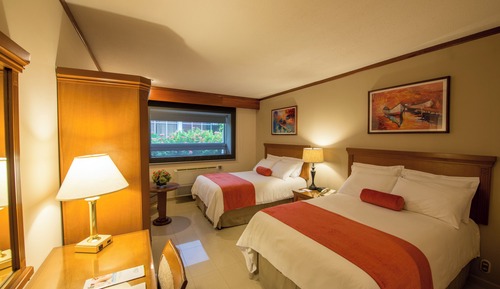Double Room with 2 Double Beds