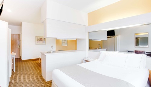 Habitación estándar, 1 cama de matrimonio, no fumadores, frigorífico y microondas (with Sofabed)