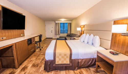 Habitación estándar, 1 cama de matrimonio grande