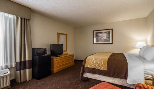Habitación estándar, 1 cama de matrimonio grande, no fumadores