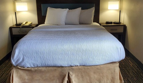 Suite, 1 cama de matrimonio, accesible para personas con discapacidad, no fumadores (Roll-In Shower)