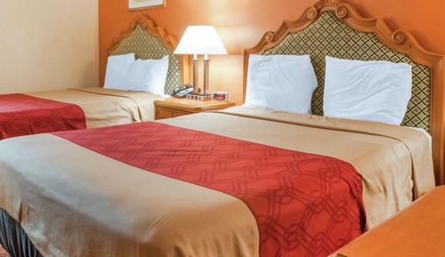 Habitación estándar, 2 camas de matrimonio, no fumadores