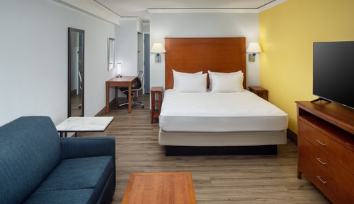 Standard Room, 1 King Bed, Sofa Bed