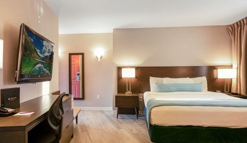 Habitación estándar, 1 cama de matrimonio grande