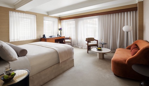 Habitación Deluxe, 1 cama de matrimonio grande (Premier)