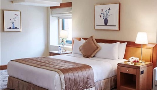Suite junior, 1 cama de matrimonio grande