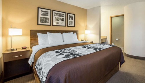Habitación, 1 cama de matrimonio grande, accesible para personas con discapacidad, no fumadores