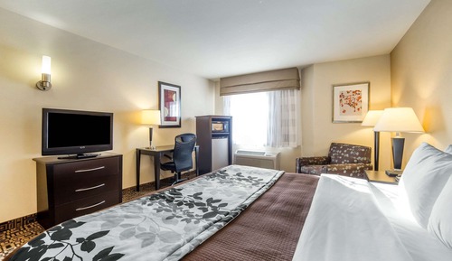 Habitación estándar, 1 cama de matrimonio grande, no fumadores