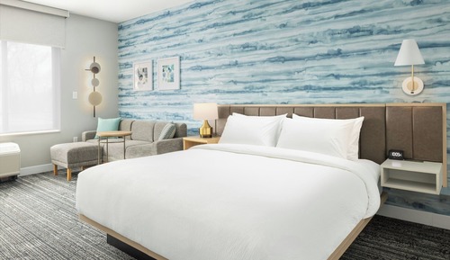 Suite estudio, 1 cama de matrimonio grande (Mobility Accessible, Roll-in Shower)
