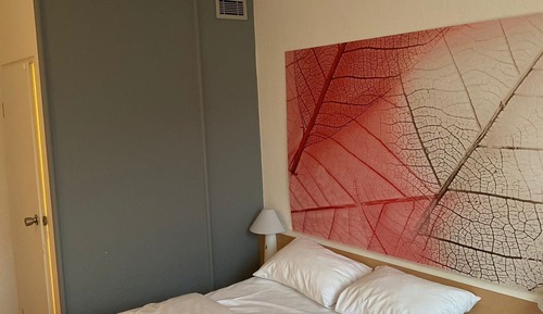 Habitación estándar, 1 cama doble