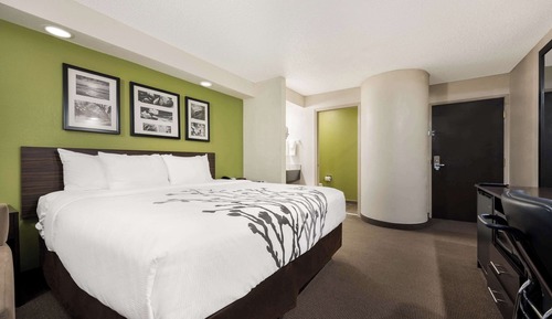 Habitación estándar, 1 cama de matrimonio grande, no fumadores