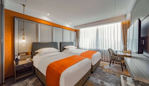 Habitación Deluxe con 2 camas individuales