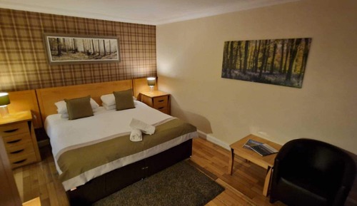 Habitación estándar doble, 1 cama doble