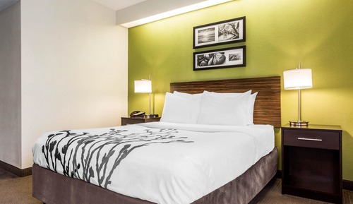 Habitación, 1 cama de matrimonio, accesible para personas con discapacidad, no fumadores