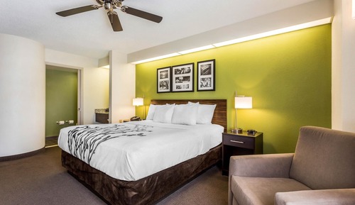 Habitación estándar, 1 cama de matrimonio grande, no fumadores