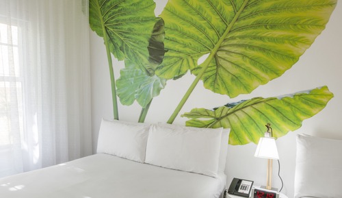 Traditional Room Two Queen Beds