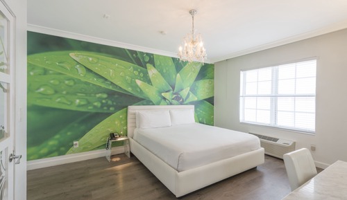 Habitación tradicional, 1 cama de matrimonio grande