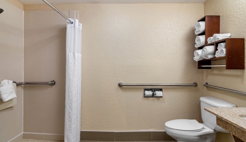 Habitación, 1 cama de matrimonio grande, accesible para personas con discapacidad (Roll-In Shower)