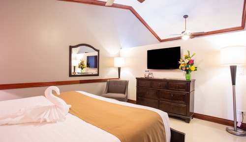 Suite junior, 1 cama de matrimonio grande, no fumadores, frigorífico y microondas (Living Room)