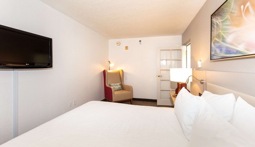 Suite, 1 habitación, bañera de hidromasaje