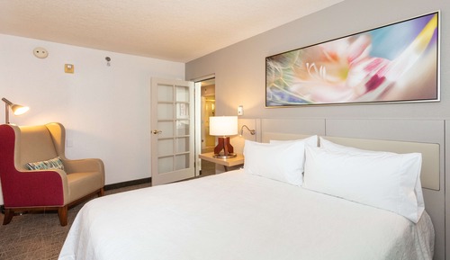 Suite de 1 habitación, 1 cama de matrimonio grande