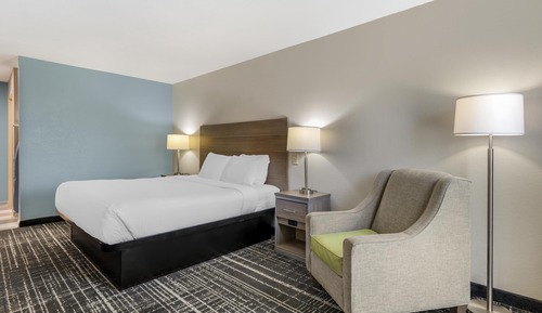 Habitación estándar, 1 cama de matrimonio grande, no fumadores, frigorífico y microondas