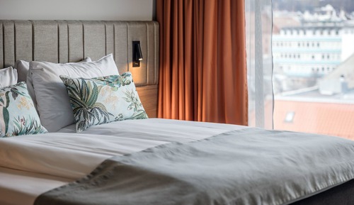 Suite estándar, 1 cama doble con sofá cama, no fumadores