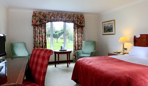 Habitación estándar, 1 cama de matrimonio grande (Standard King)