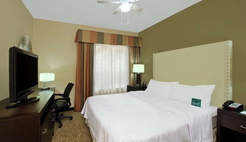 Suite Premium, 1 habitación