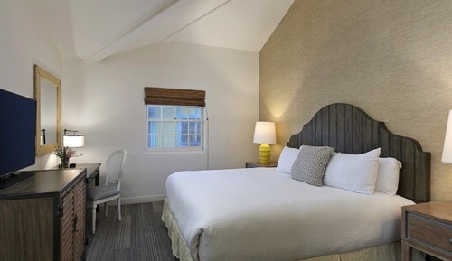 Suite, 1 cama de matrimonio grande, chimenea, vistas al jardín