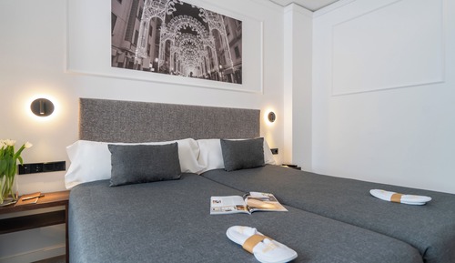 Habitación estándar con 1 cama doble o 2 individuales