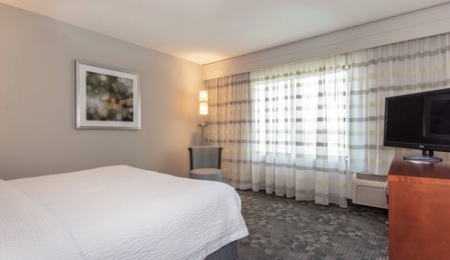 Suite, 1 cama de matrimonio grande con sofá cama