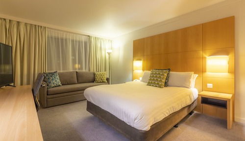 Habitación estándar, 1 cama doble con sofá cama