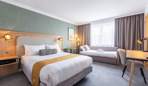 Habitación estándar, 1 cama de matrimonio grande con sofá cama