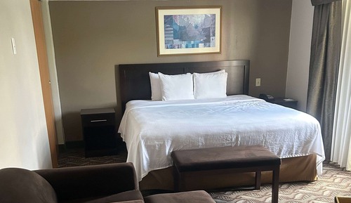 Suite, 1 cama de matrimonio grande, no fumadores (One-Bedroom Suite)