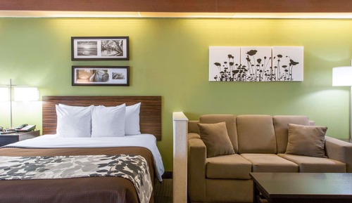 Suite, varias camas, no fumadores (2 Queen, 2 Person Sofa Bed)