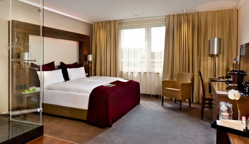 Superior Plus Double Room